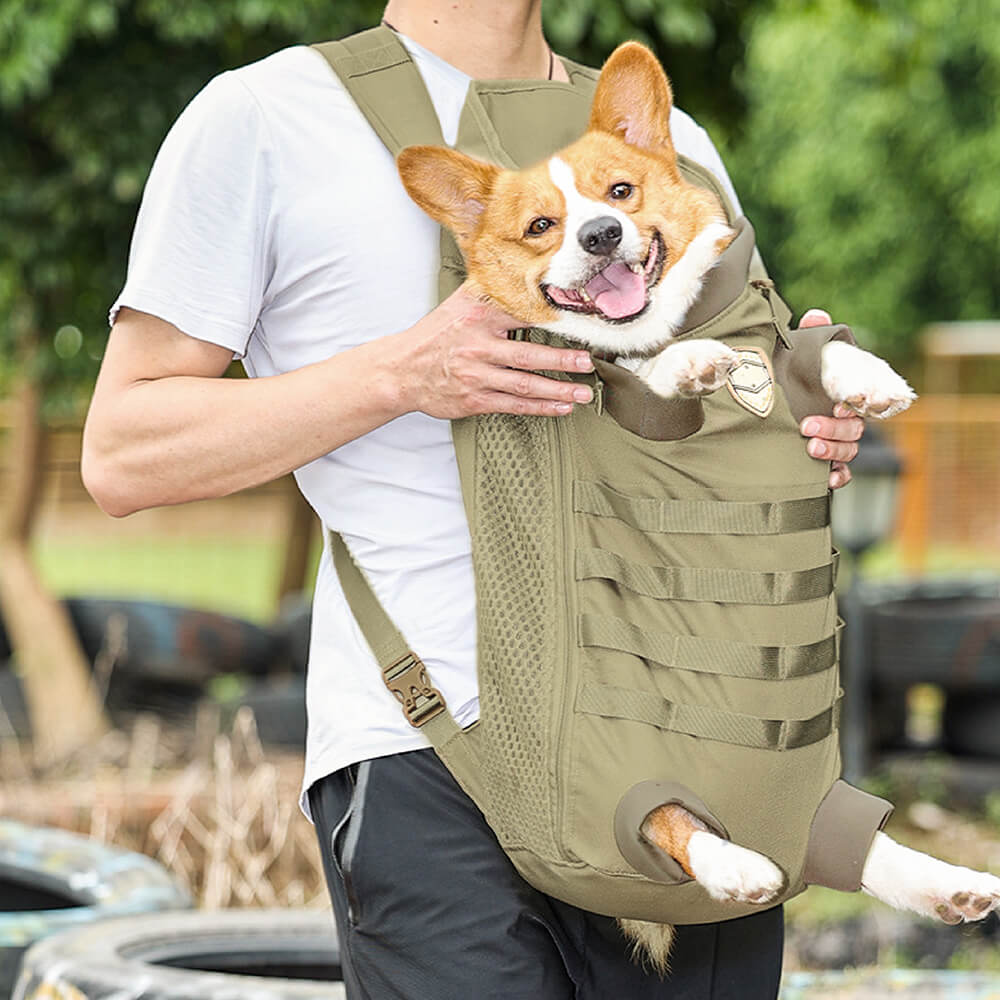 funny dog carrier